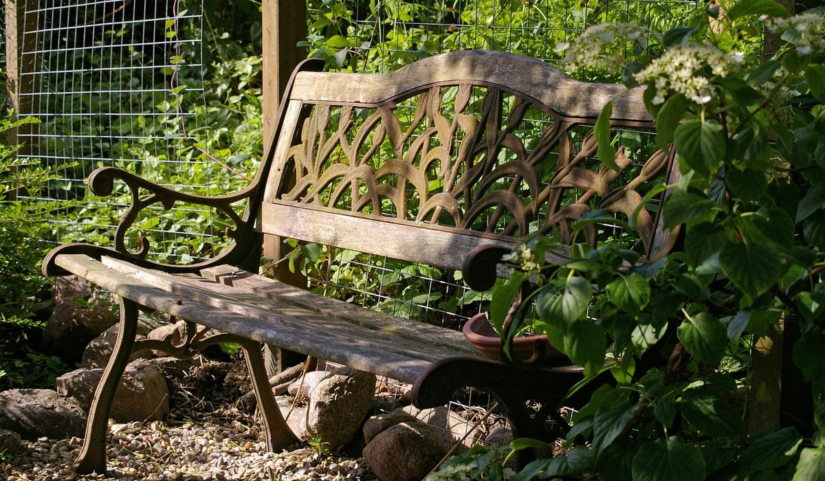Making a bee hotel from garden prunings